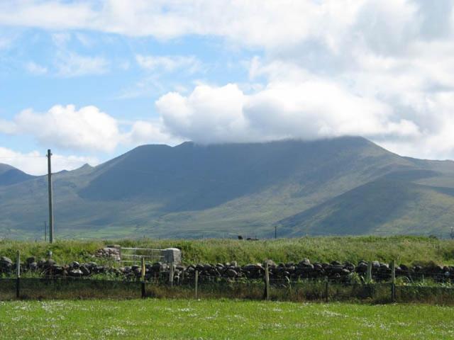 Ballydavid Coill An Rois B&B المظهر الخارجي الصورة
