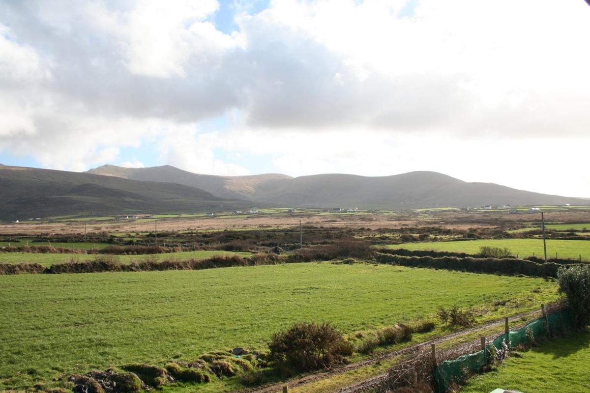 Ballydavid Coill An Rois B&B المظهر الخارجي الصورة